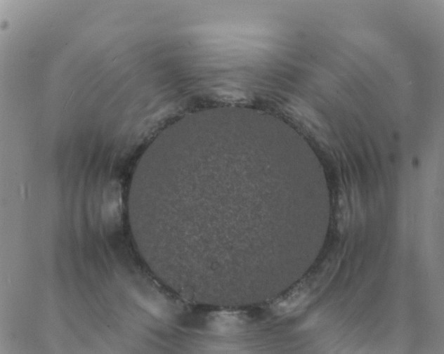 X0000088030320200705182032