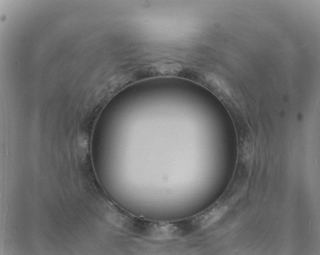 X0000088030321200705182032