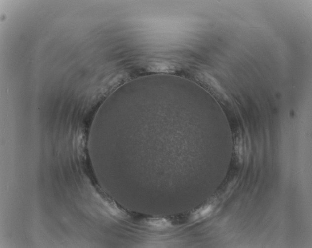 X0000088030322200705182032