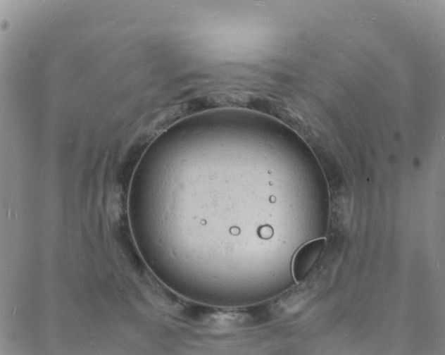 X0000088030323200705182032