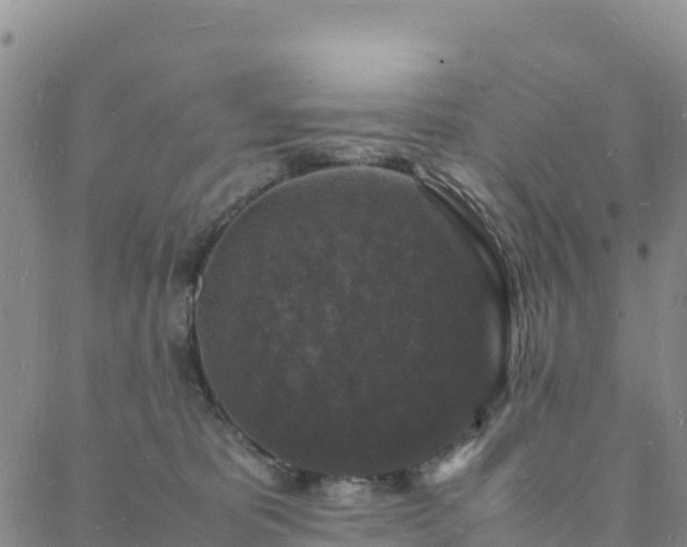 X0000088030325200705182032