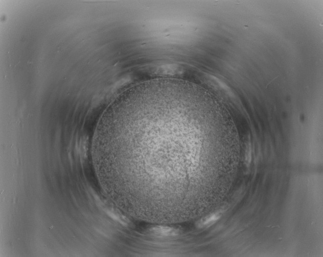 X0000088030326200705182032