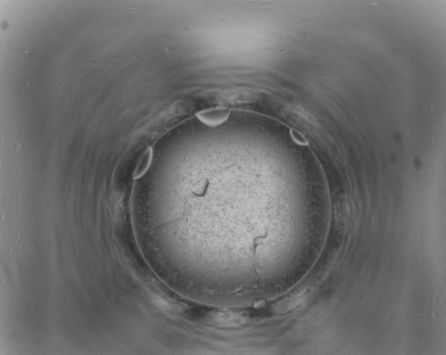 X0000088030327200705182032