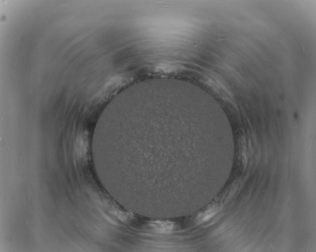 X0000088030328200705182032