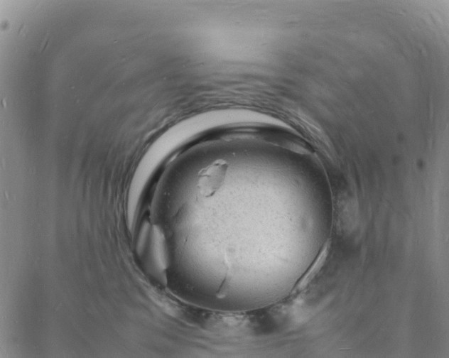 X0000088030329200705182032