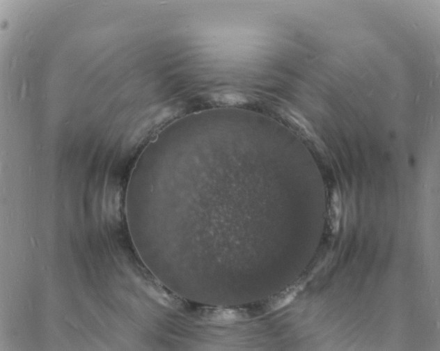 X0000088030330200705182032