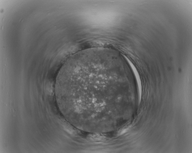 X0000088030331200705182032