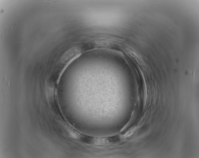 X0000088030333200705182032