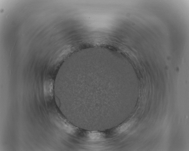 X0000088030336200705182031