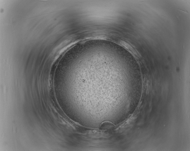 X0000088030338200705182031