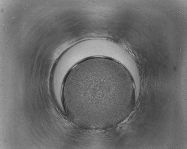 X0000088030340200705182031