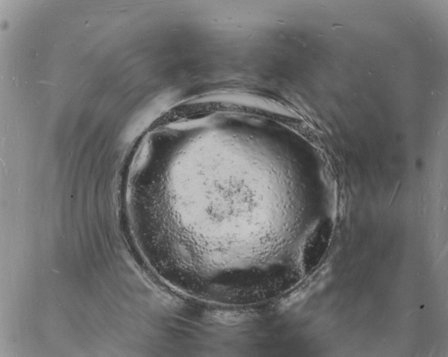 X0000088030341200705182031