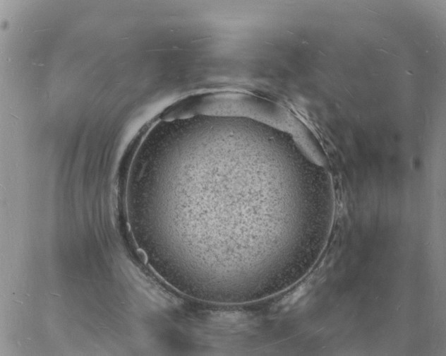 X0000088030342200705182031