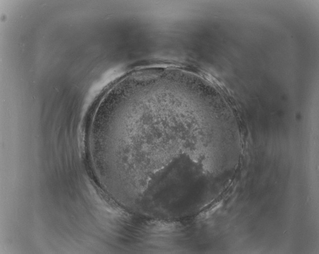 X0000088030343200705182031