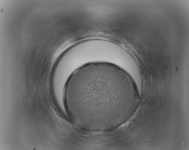 X0000088030344200705182031