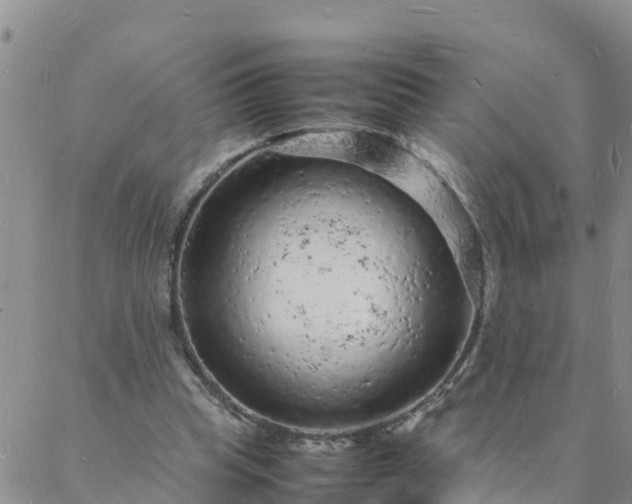 X0000088030345200705182031