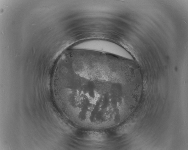 X0000088030347200705182031