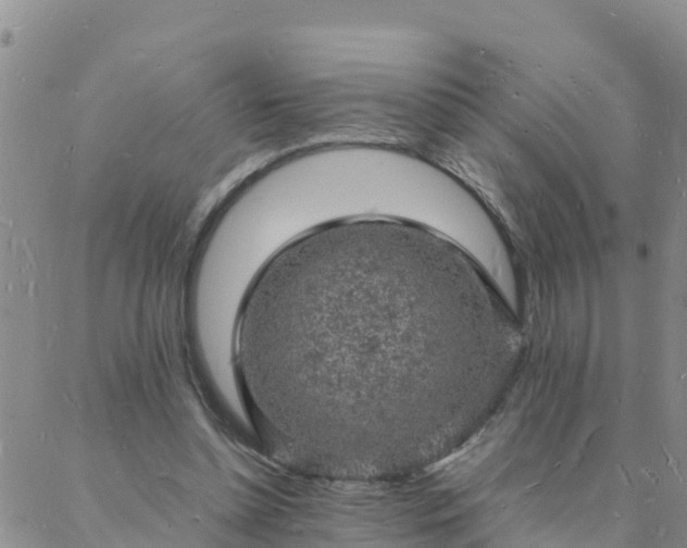 X0000088030348200705182031