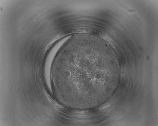 X0000088030349200705182031