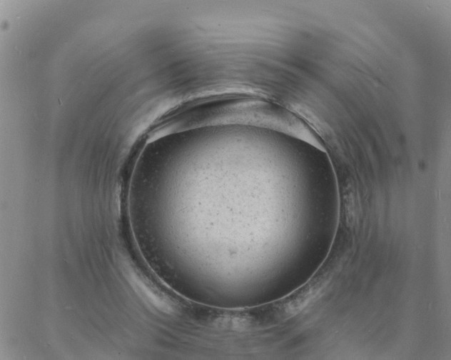 X0000088030350200705182031