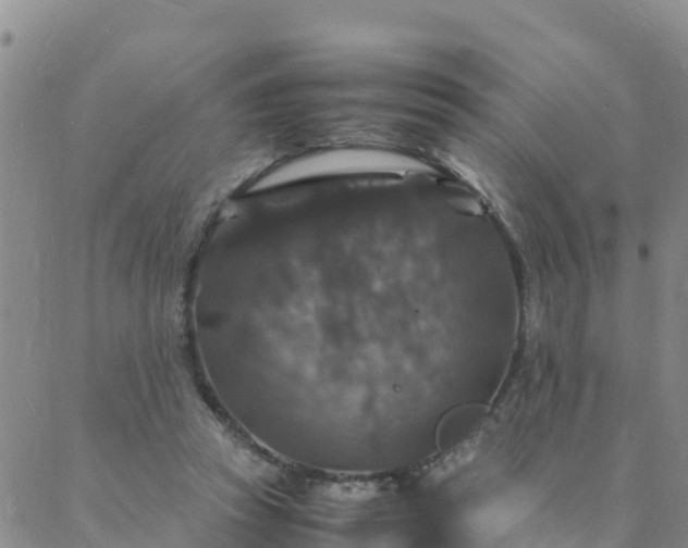 X0000088030353200705182031