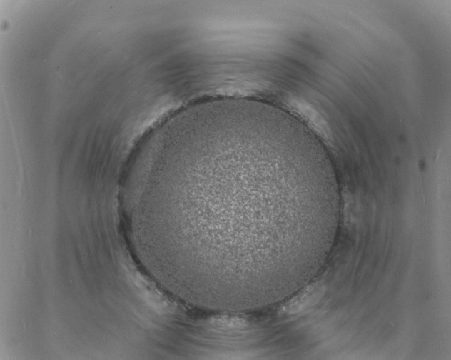 X0000088030354200705182031