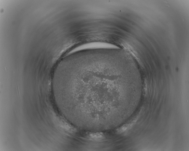 X0000088030355200705182031