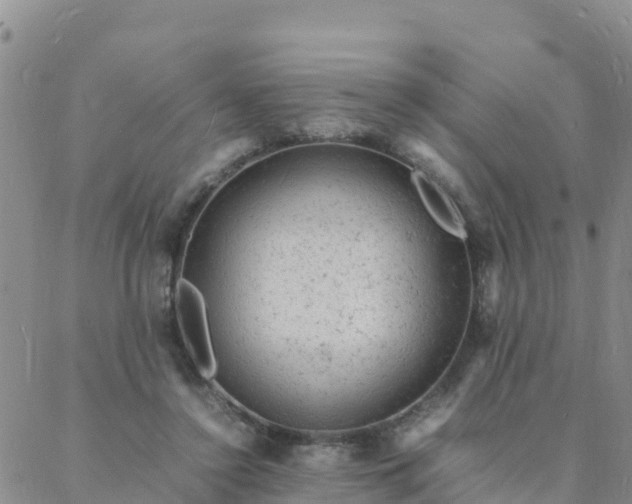 X0000088030356200705182031