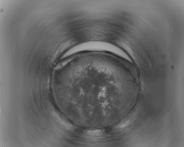 X0000088030357200705182031