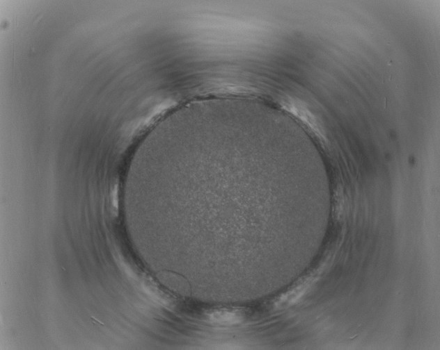 X0000088030358200705182031