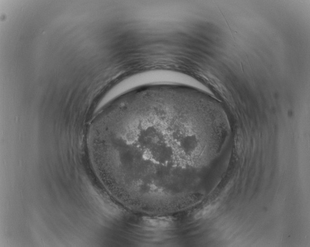 X0000088030359200705182031