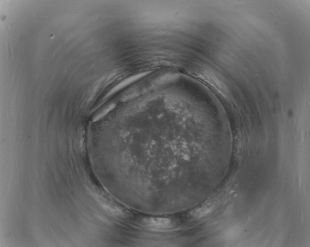 X0000088030361200705182031