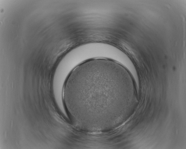 X0000088030362200705182031