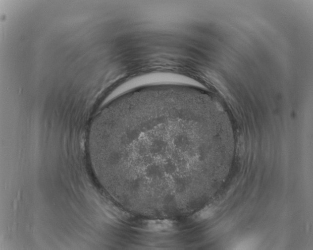 X0000088030363200705182031