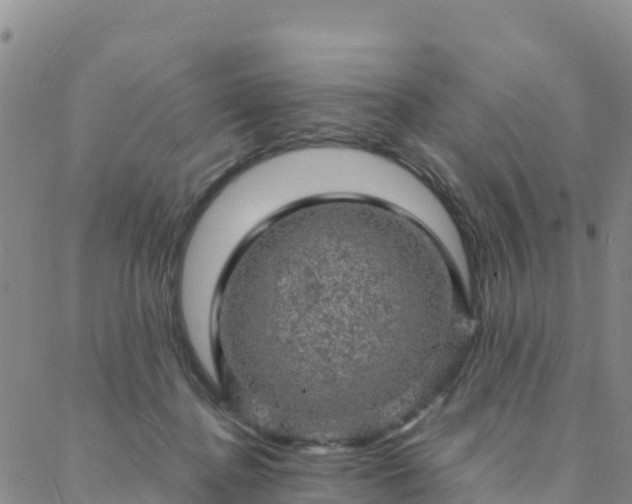 X0000088030364200705182031