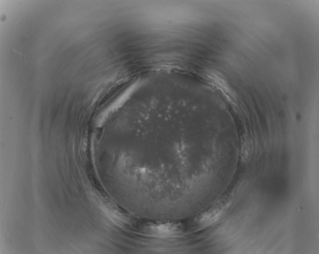 X0000088030365200705182031