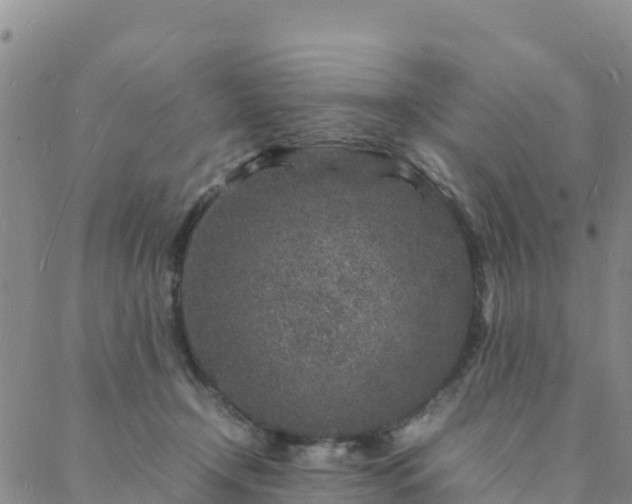 X0000088030366200705182031