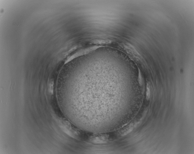 X0000088030368200705182031