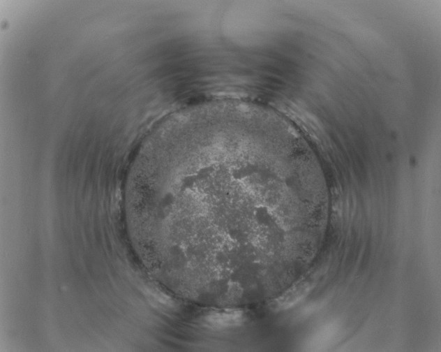 X0000088030369200705182031