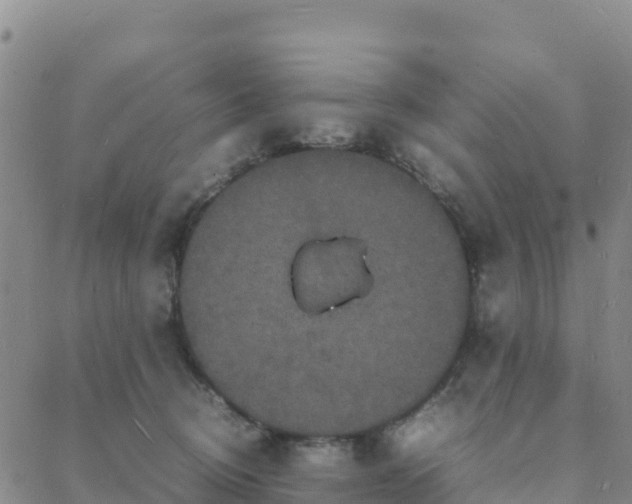 X0000088030370200705182031