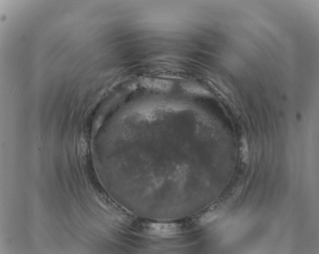 X0000088030371200705182031