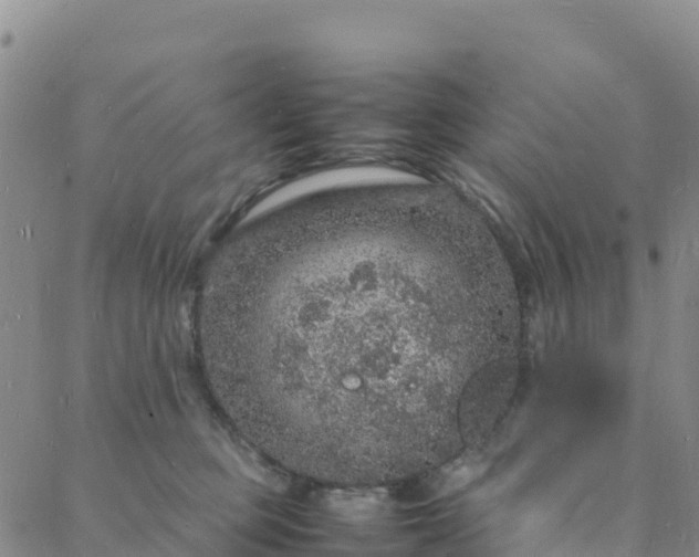 X0000088030373200705182031