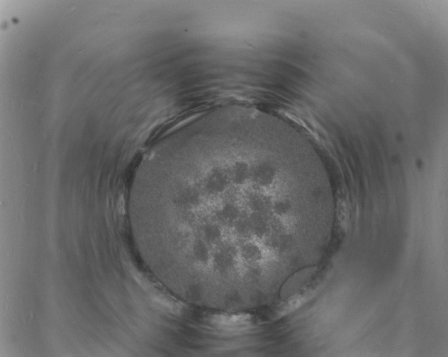 X0000088030375200705182031