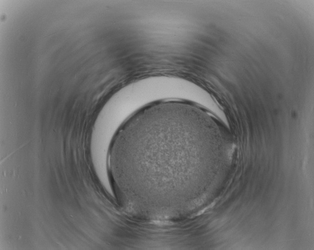 X0000088030376200705182031