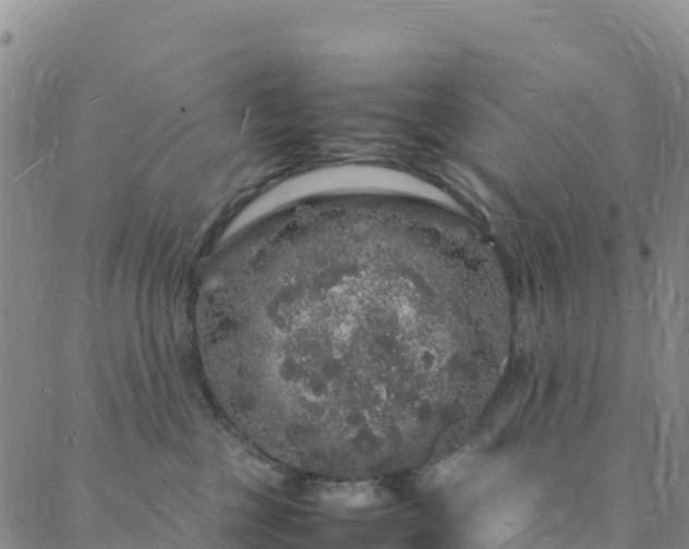 X0000088030377200705182031