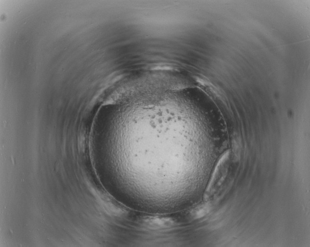 X0000088030379200705182031