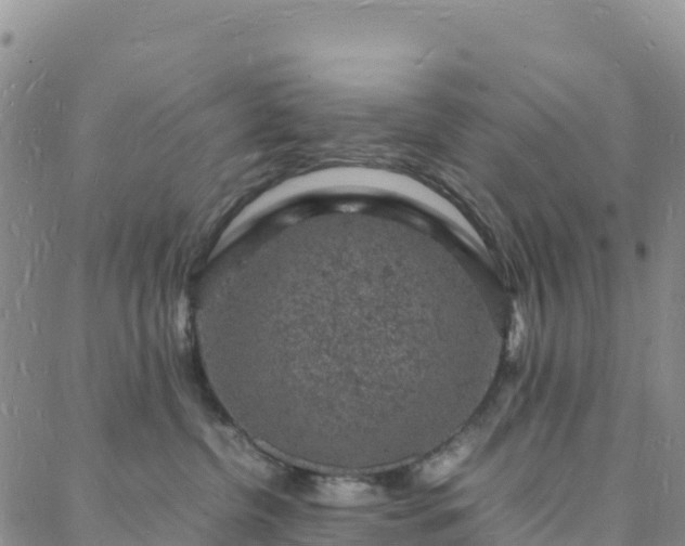 X0000088030380200705182031