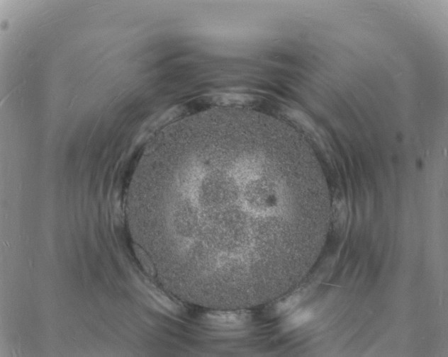 X0000088030381200705182031