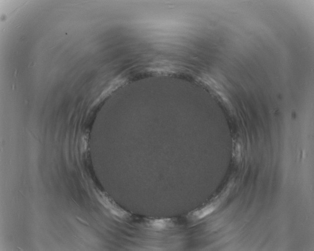 X0000088030382200705182031