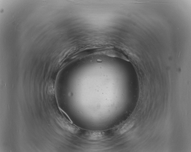 X0000088030384200705182031